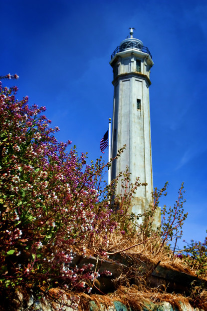 Light in Captivity. Alcatraz, California